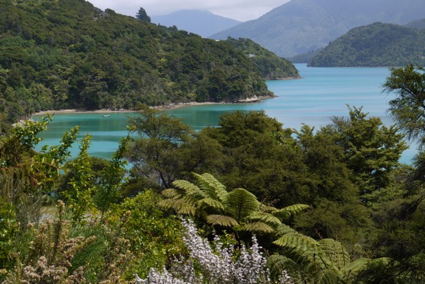 Marlborough Sounds