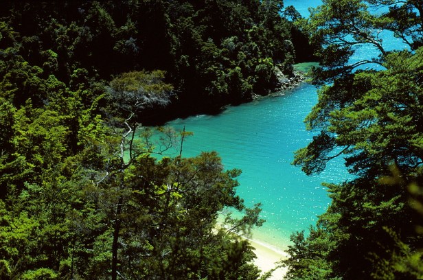 Nelson en pärla i Tasman