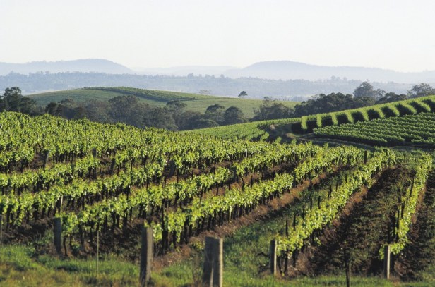 backgroundImage.adapt.1663.high